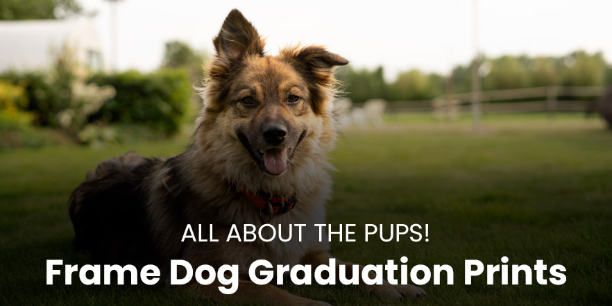How to frame dog training graduation pictures