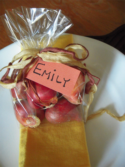 Autumn Dinner Party Favors in Clear Cello Bag