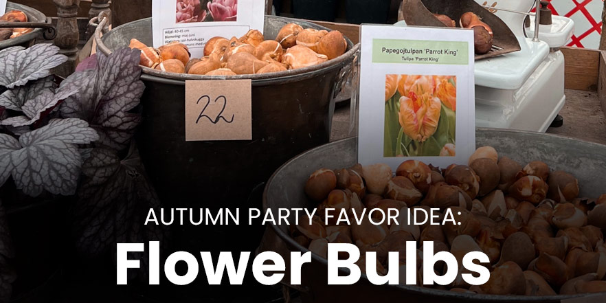 Autumn party flower bulb party favors