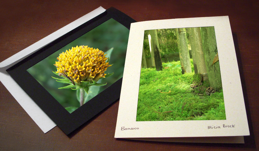 Recycled black and natural flax photo insert cards for nature photographs