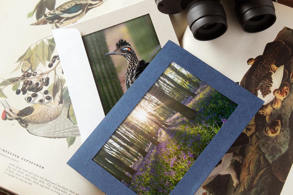 Cards with photo insert for nature photography