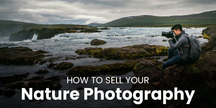 How to sell your nature photography