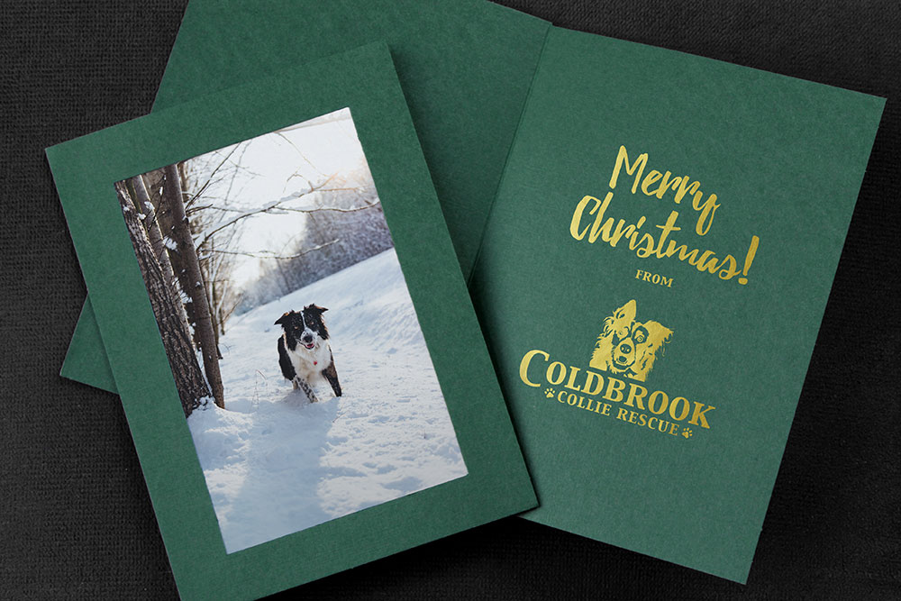 Green photo card with gold foil logo imprint for a dog rescue group