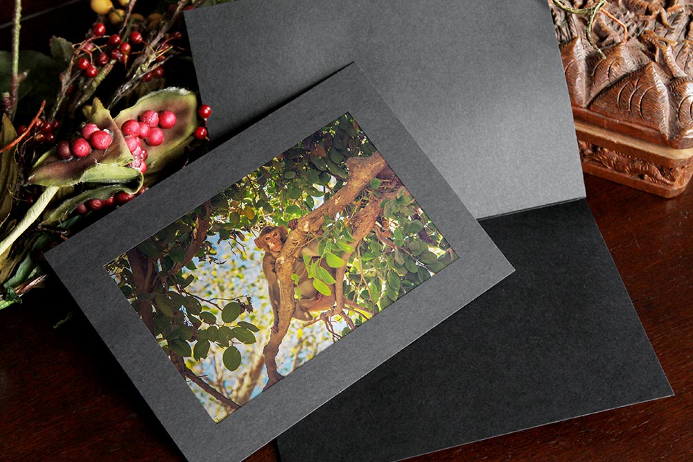 Recycled black photo insert card frames a picture of a monkey in a tree