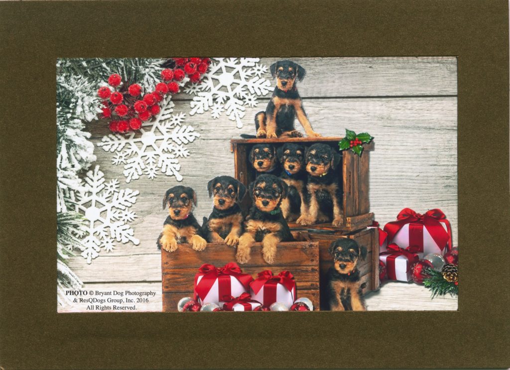 Bronze holiday card frames a picture of rescued puppies