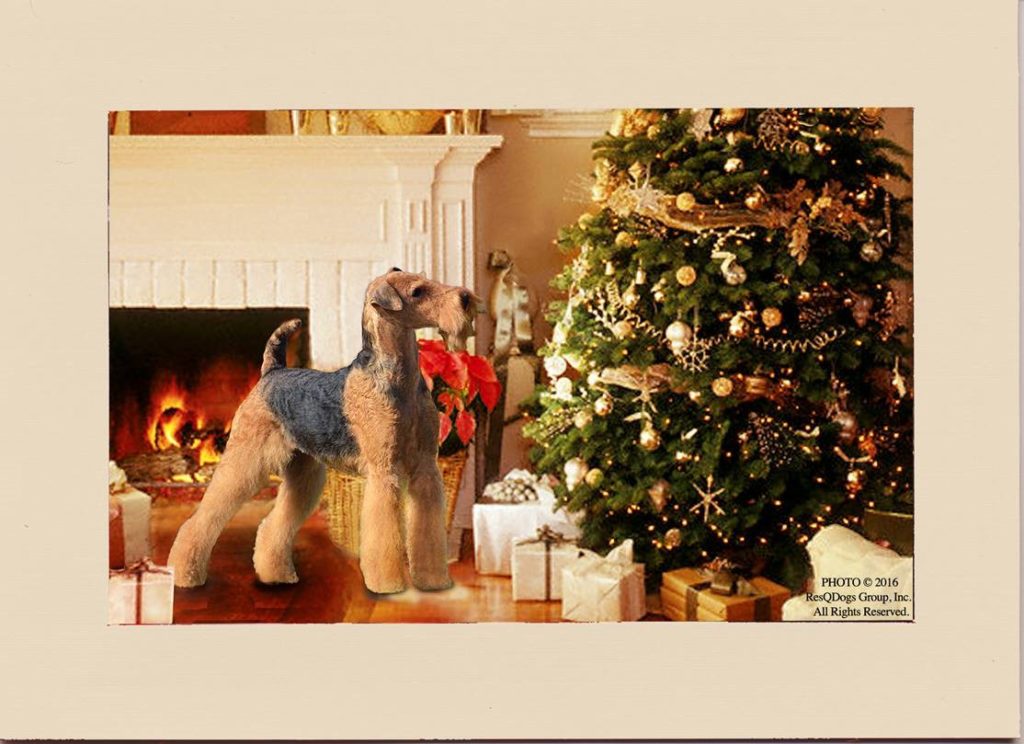 Natural flax card frames a Christmas picture of a dog