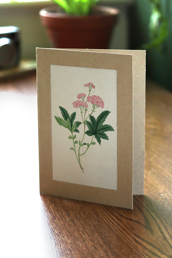 Recycled kraft paper photo insert card with hand-drawn flower picture framed in the front window.