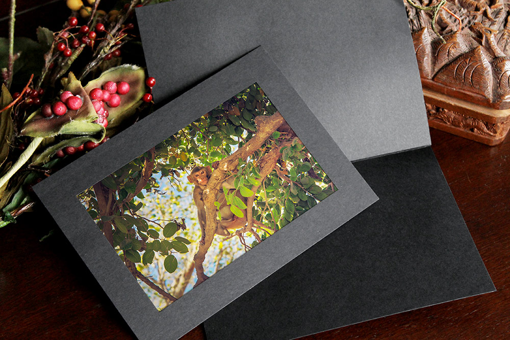 Black photo insert card sitting on a dark wood table against a tribal, craved wooden box and plant greenery and berries. Photo card frames a photo of a monkey in a tree.