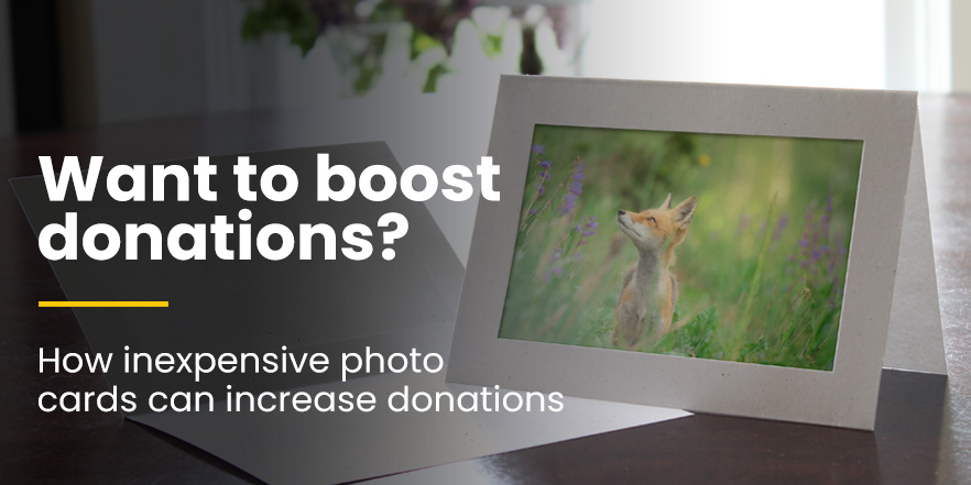 Boost donations with photo cards in donor thank you packs