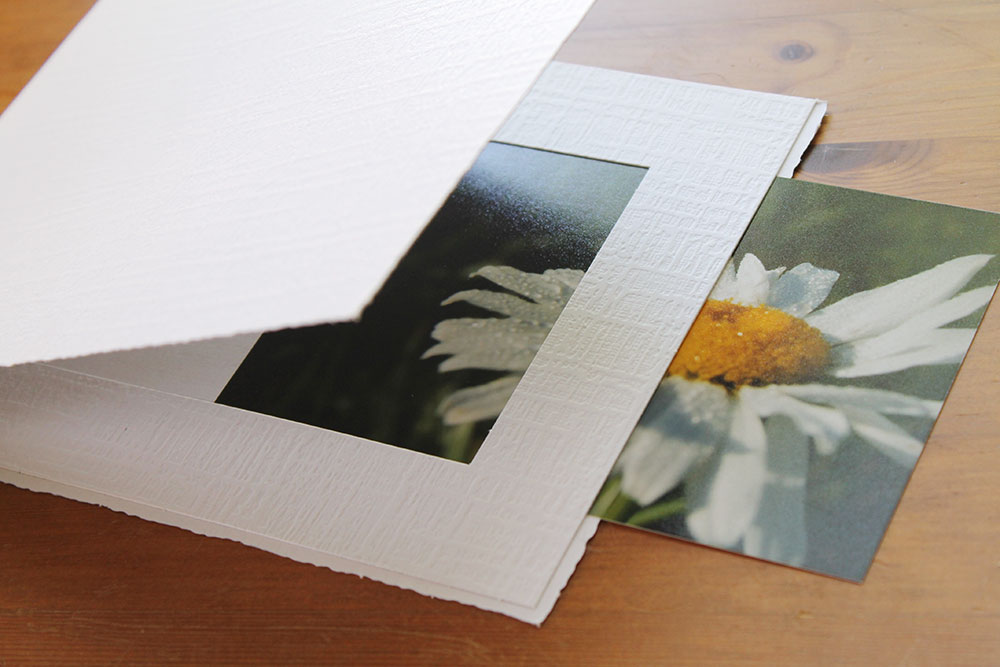 Inserting a flower picture into a white studio portrait folder