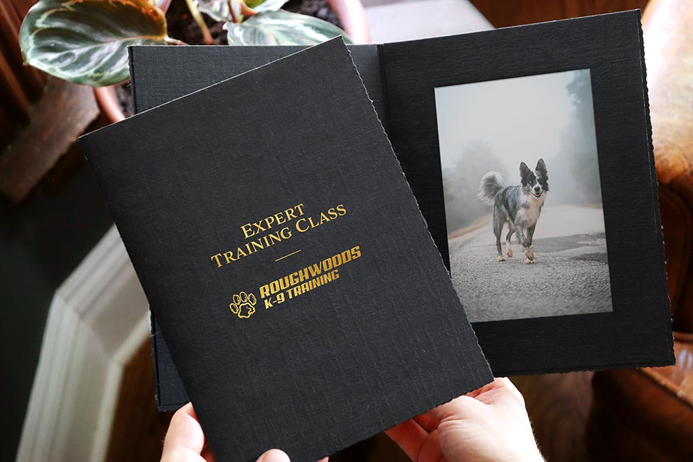Black portrait folder holds a photo of a dog walking down a path. There is a metallic gold foil logo imprint on the front cover for a K-9 training class.