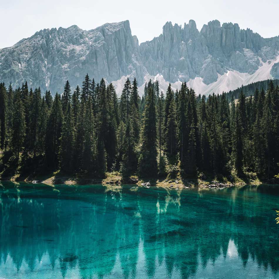 A clear river flows slowly in the foreground, a dense forest of evergreen trees are directly behind it, and a craggy, rocky mountain sits behind the tranquil scene.