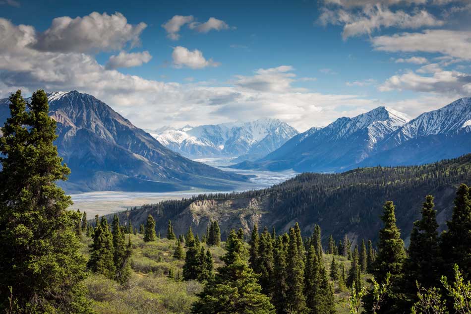 Snow-capped mountains behind a river valley with green forested area in the foreground